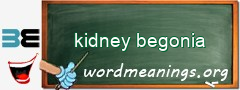 WordMeaning blackboard for kidney begonia